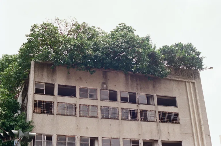 福和橋(kodak cokor plus 200 + fm2) 2