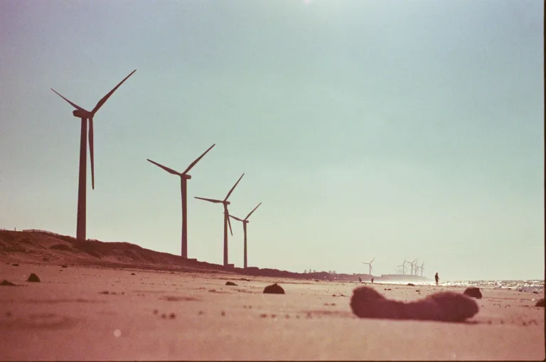 觀音海灘photoXL100 過期(變質 入塵) 3