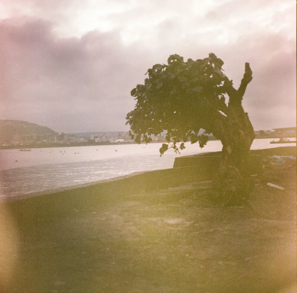 fujifilm super hg 400 (120,1998過期) 1